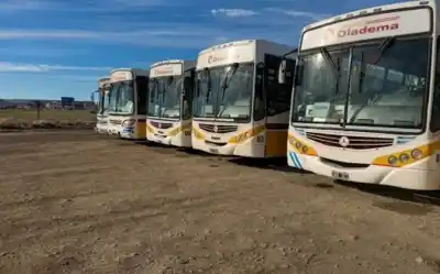 El cambio que ordena la Municipalidad y que nadie esperaba en el transporte de Comodoro