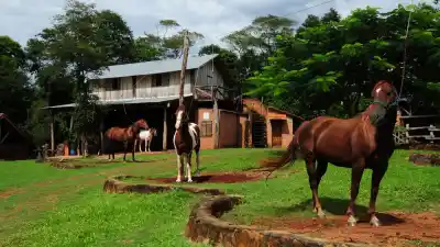 Misiones tiene 108 rincones rurales para visitar: cómo saber cuál te queda cerca