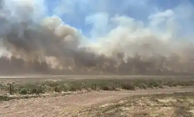 Un cortocircuito desató el fuego: el viento hizo el resto entre Quemú y Trilí