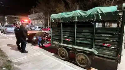 Control en la Ruta 40: viajaban con 200 kilos de carne y un caballo, pero no era eso lo que más llamó la atención