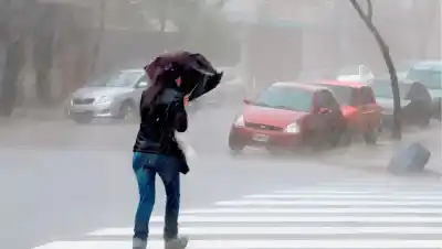 Neuquén y Río Negro, bajo alerta: el día que preocupa al SMN y las ráfagas que superarían los 100 km/h