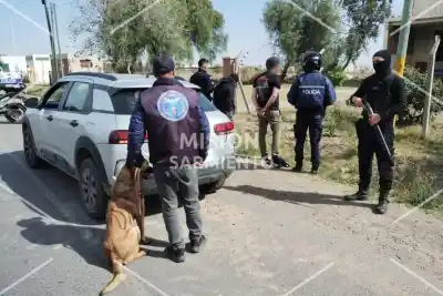 Un perro marcó el auto en la ruta 3 y lo que apareció adentro dejó a dos mendocinos tras las rejas