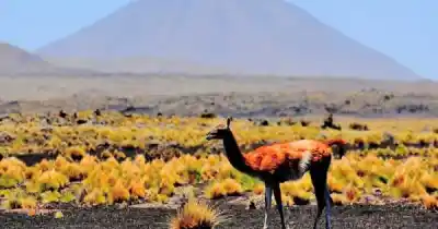 Mendoza tocó los precios de sus reservas naturales: el nuevo valor que sorprende a los mendocinos