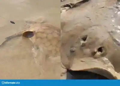Van a refrescarse al río Bermejo y algo los obligó a salir del agua