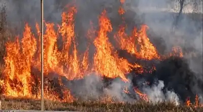 Un vecino habría encendido el fuego: las llamas avanzan cerca de las casas en Juan XXIII
