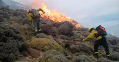 Santa Cruz: el 99% de los incendios en las zonas más críticas no empezó solo