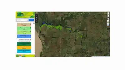 El Niño llega con lluvias y los ganaderos correntinos ya tienen un as bajo la manga
