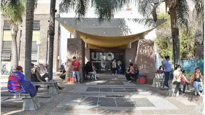 Lo hallaron en el cantero central de bulevar: ahora vive con un acompañante las 24 horas