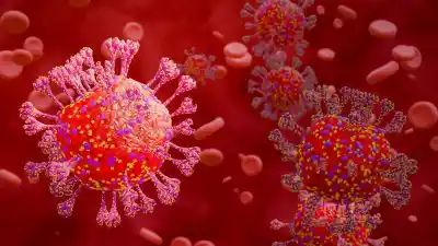 El virus que dominó la gripe en Jujuy este año: qué revela el último informe nacional