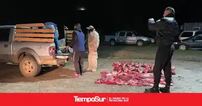 Cazó cuatro guanacos y volvía por la Ruta 3: lo que no pudo mostrar en el control lo dejó expuesto