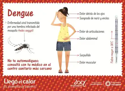 Tucumán se prepara para un dengue distinto: el aviso que encendió las alarmas en Salud