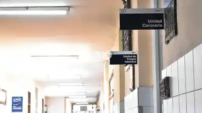 Se trepó a un poste para robar, cayó y su hermano terminó preso: la escena que lo complicó todo