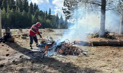 Diez localidades de Chubut ya mueven maquinaria pesada en los bosques: el plan que busca evitar lo peor