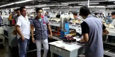 El plan que podría devolverle el trabajo a cientos de trabajadores de la ex Dass