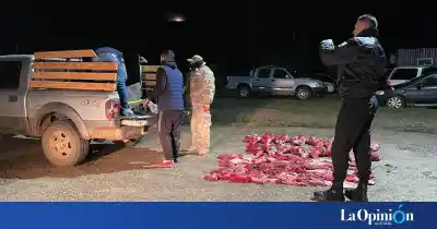 Volvían de cazar con la camioneta cargada, pero no esperaban lo que había en la caja