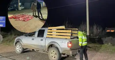 Volvían de cazar en Santa Cruz con la caja llena: lo que la Policía encontró adentro los dejó sin argumentos