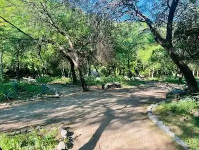 La Quebrada del Tala se prepara para una feria que mezcla ciencia, naturaleza y tradición