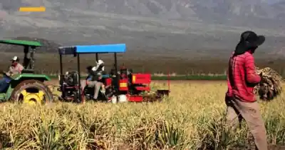 La firma del Valle de Uco que no pudo pagar a tiempo y ahora define su futuro en la Justicia