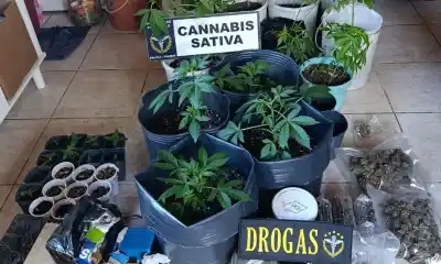 Lo interceptaron vendiendo en Fontana y Avellaneda: lo que apareció después en Cholila los dejó sin palabras
