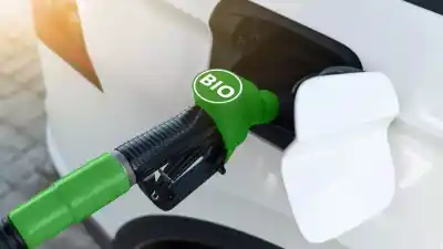 El plan que aprovecha lo que ya existe para bajar emisiones sin cambiar todo