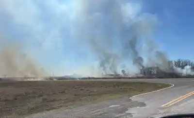 Un incendio en la ruta 1 cerca de Trilí puso en alerta a los campos vecinos