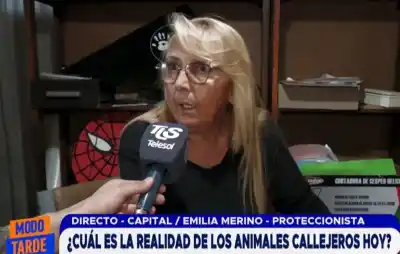 Denuncian que los casos de maltrato animal se multiplican en San Juan y piden que los vecinos denuncien