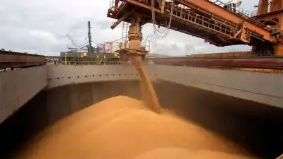 El campo liquidaría una cosecha récord, pero la plata no queda en el campo
