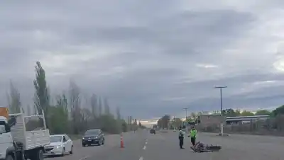 Iba en moto por la Ruta 22 y un caballo suelto le cambió el viaje