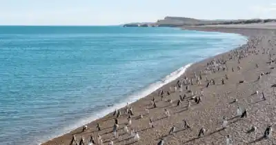 Monte León mira al mar: el proyecto que lleva décadas esperando un paso clave