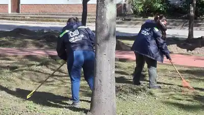 Encontraron roedores con hantavirus en Catamarca: el detalle que encendió las alarmas en Los Altos