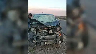 Un caballo se les cruzó en plena Ruta 22 y el auto terminó con un final impensado