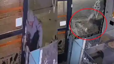 Levantó la reja, tiró un piedrazo y entró: lo que se llevó de la heladería dejó mudos a los dueños