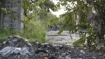 El plan para que las cámaras de Rosario detecten solas a los que tiran basura