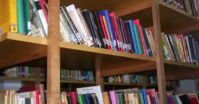 Mendoza celebra el día de sus bibliotecas populares y hay un dato que sorprende