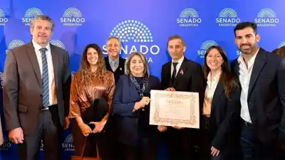 Termas: el museo que ya visitaron 1.200.000 personas acaba de recibir un reconocimiento en el Senado