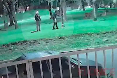 Vecinos de Paraná denunciaron un robo en plena madrugada: la cámara lo captó todo