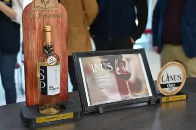 San Luis se metió en la élite del vino: las etiquetas que sorprendieron a los jurados de Vinus