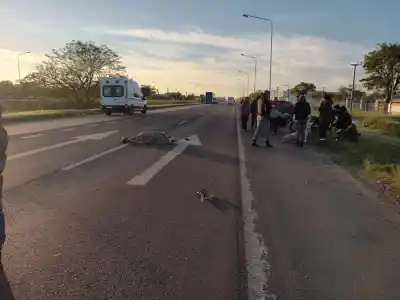 Ruta 16: una moto y un colectivo de larga distancia chocaron en Fontana y la Policía Caminera dio un parte preliminar