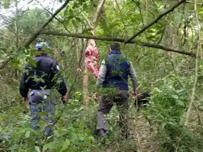 Faenó un animal en un campo de Formosa y escondió las pruebas en un riacho: lo que halló la policía