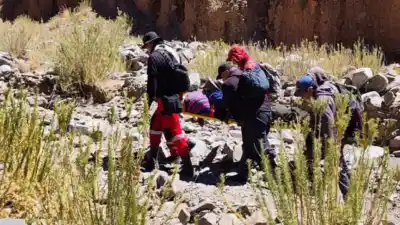 Una mujer de 89 años quedó atrapada en un paraje: la encontraron tras un viaje de 58 kilómetros