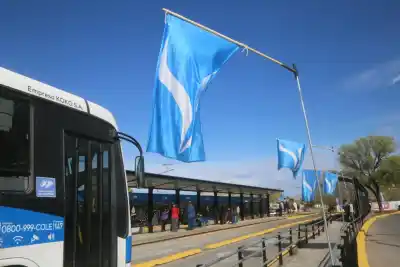 Neuquén renovó 29 garitas del Metrobús: el detalle que cambia el viaje de miles de usuarios