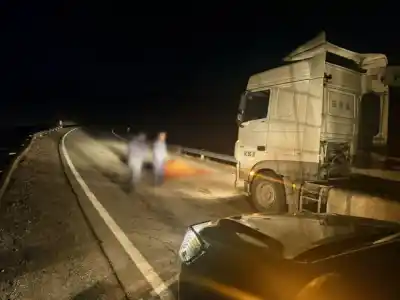 Un camión cruzaba hacia Chile y se topó con un obstáculo inesperado en plena ruta