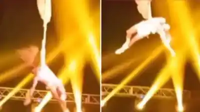¿Qué pasó en el circo? Un artista se desploma durante el show y todo cambia en segundos