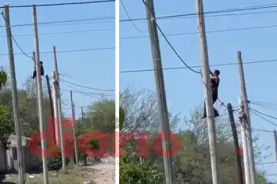 Se trepó a un poste en pleno día y los vecinos no lo podían creer: el video que indigna al barrio General Paz