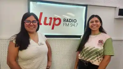 La red oculta detrás de la minería salteña que nadie muestra en los números