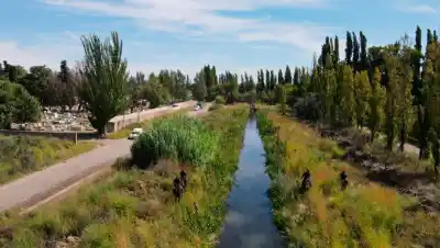 Desapareció en Lamarque hace 7 meses: qué encontraron a 500 metros de la casa de su madre