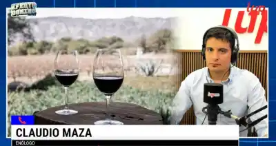 El enólogo que confesó lo que casi nadie dice sobre el vino salteño