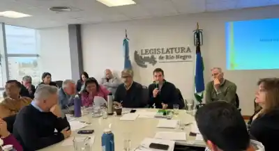 El plan de Weretilneck que cambia los fondos de 39 municipios y ahora tiene luz verde en la Legislatura