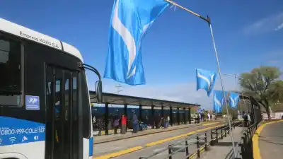 Neuquén: el Metrobús cambió por completo y los vecinos ya sienten la diferencia