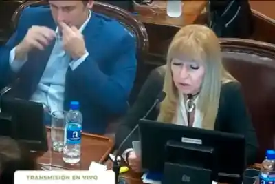 El video de una sesión que sacudió a la Legislatura: un diputado entrerriano salió a responder